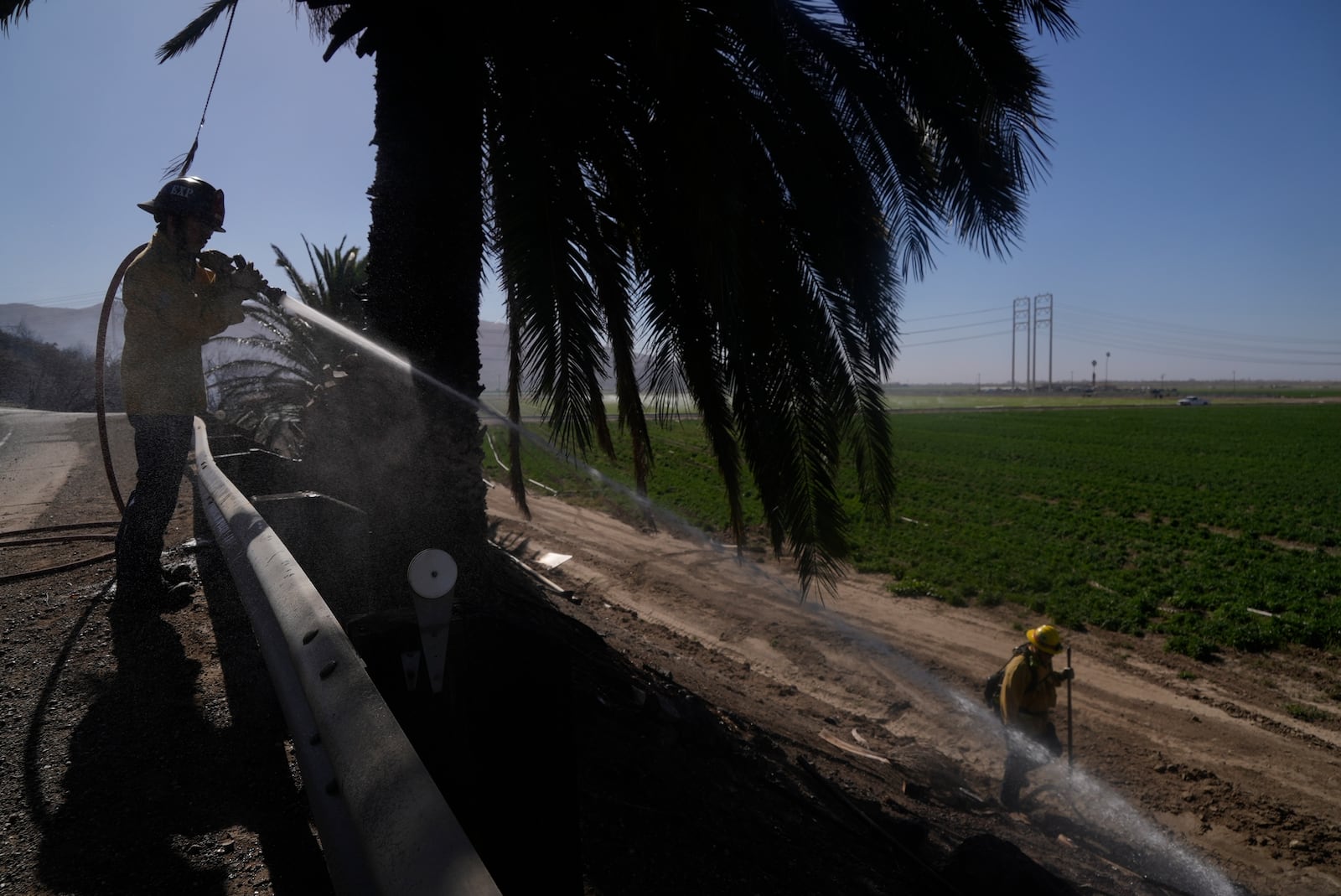 Firefighters put out hot spots Thursday, Jan. 23, 2025 in Camarillo, Calif,, where the Laguna Fire fire broke out. (AP Photo/Brittany Peterson)