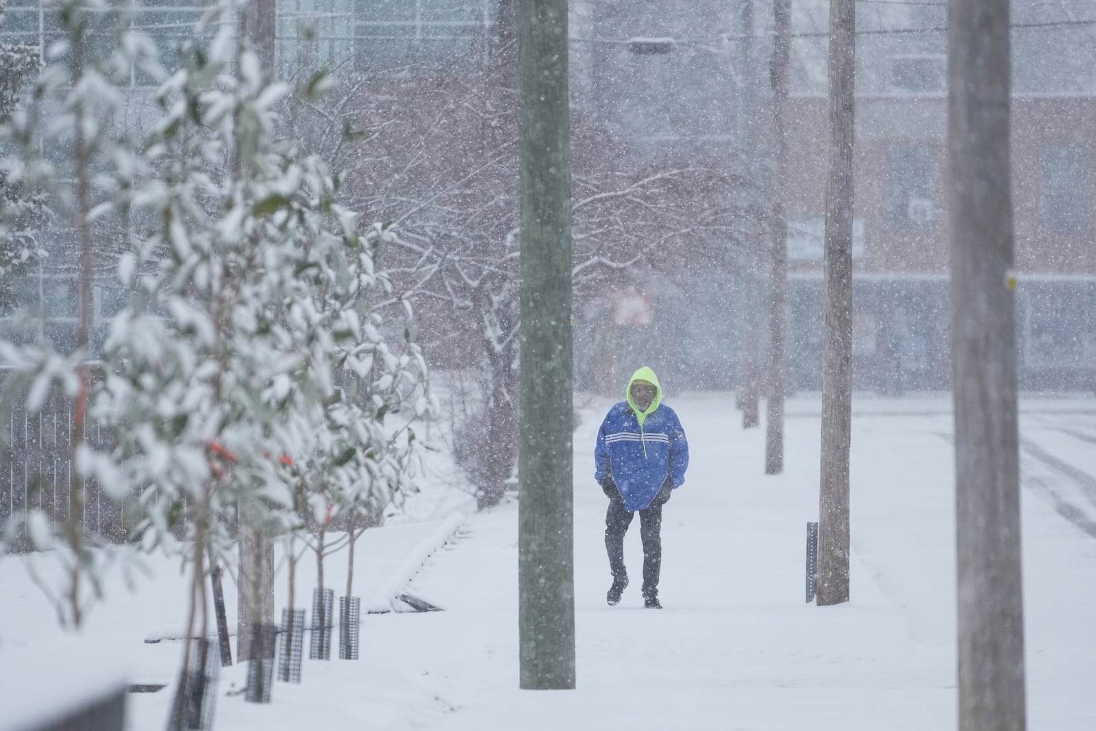 T. Jones walks in the snow Friday, Jan 10, 2025, in Nashville, Tenn. (AP Photo/George Walker IV)