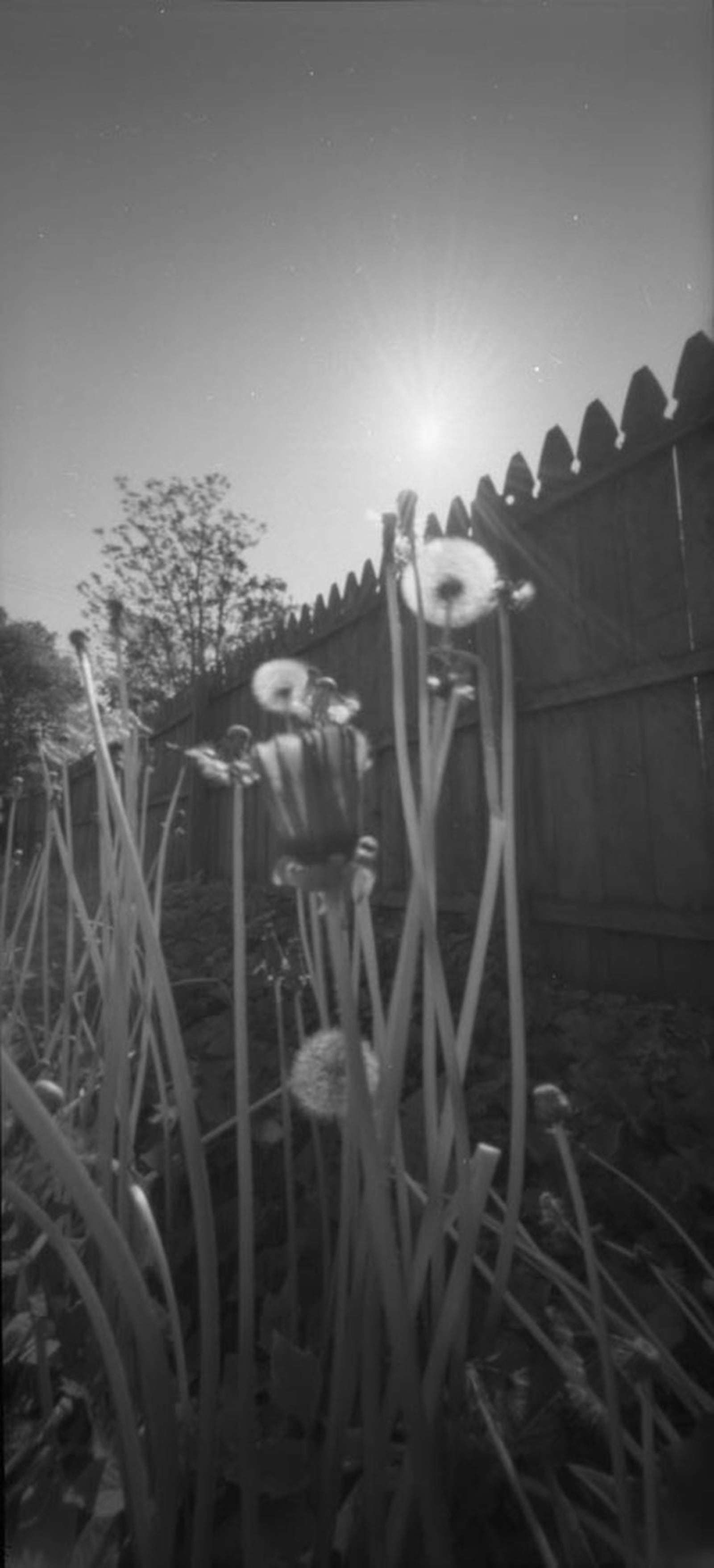 Photographer Francis Schanberger’s pinhole photo is called “South Park. Submitted.