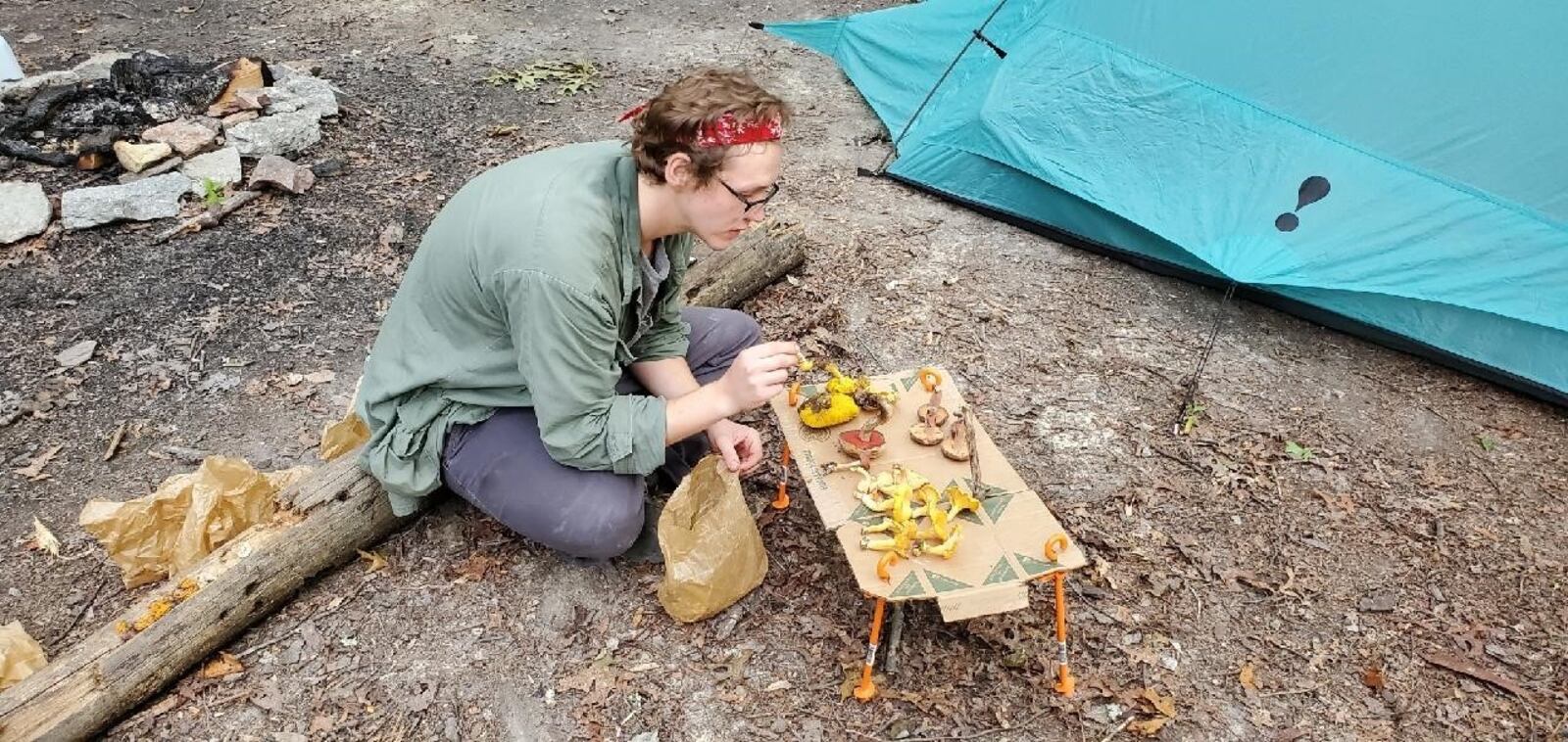 Jacob Bryant, a botanist from Oxford, Ohio, identifies wild mushrooms. CONTRIBUTED/AMI SCHULTE.