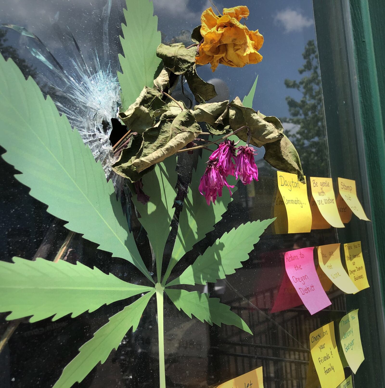 Building owner Jon Neidert plans to keep the window from the Green Health Docs business that had a bullet go through the marijuana leaf during the mass shooting on Sunday in the Oregon district. BONNIE MEIBERS / STAFF