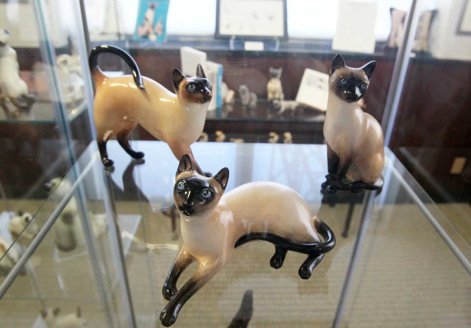 A trio of porcelain Siamese cats rest in the "We are Siamese if you please. We are Siamese if you don't please" exhibit at the Feline Historical Museum.