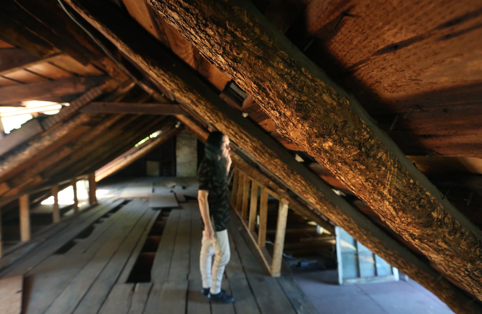 The roof of a log home at 2021 Gipsy Dr. in Harrison Twp. is held up with rafters made of bark-covered timbers. The home has been covered with cedar boards and aluminum siding and the rediscovery has residents recalling fabled tales of gypsy royalty.  LISA POWELL / STAFF