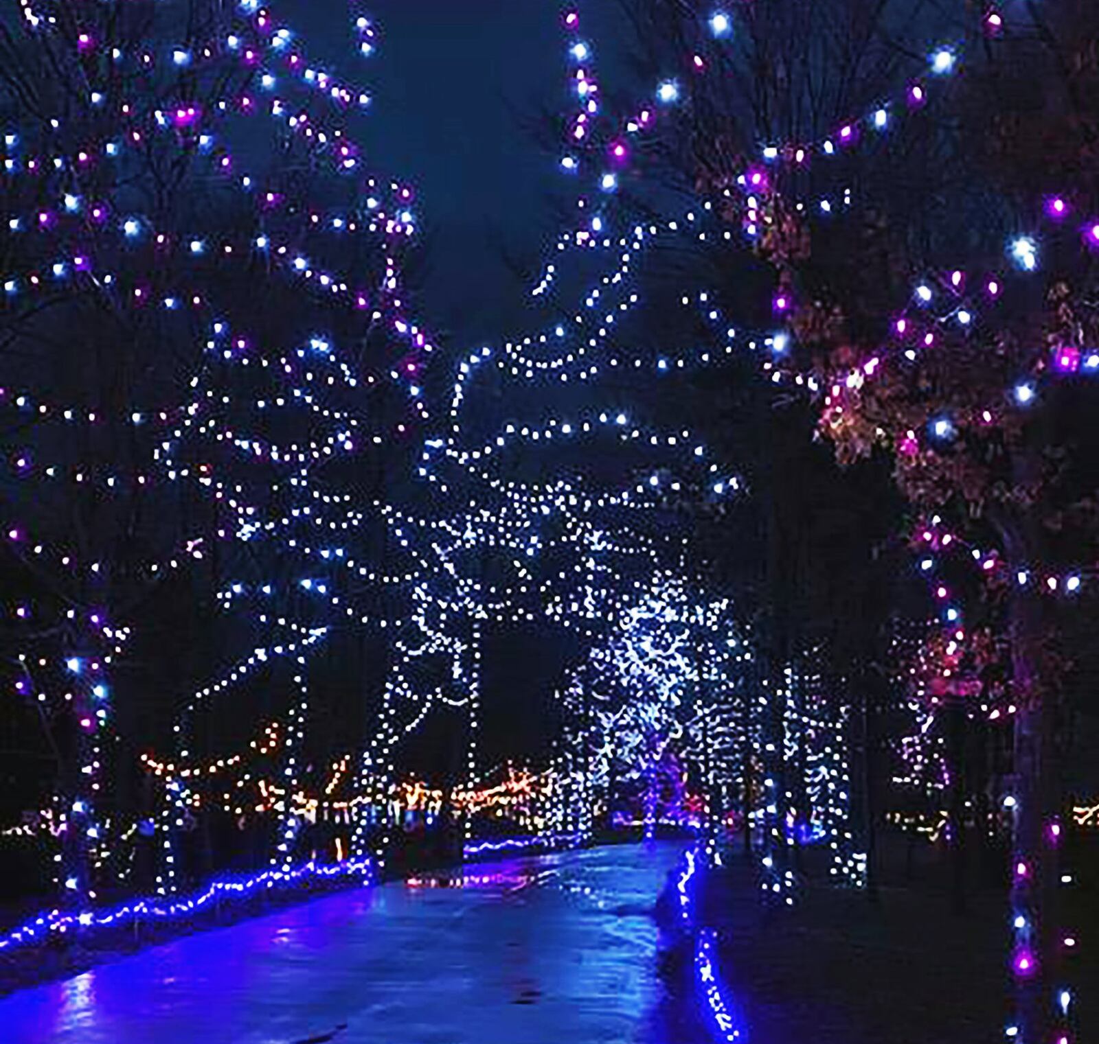 Holiday Lights on the Hill at Pyramid Hill offers guests a holiday light experience that brings art and nature together. The popular attraction will be open from Nov. 22 through Jan. 5. CONTRIBUTED