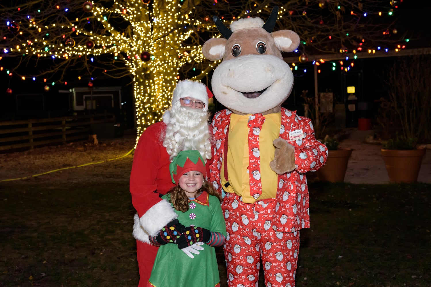 PHOTOS: Barnabe's Buckeye Tree Lighting Ceremony at Young's Jersey Dairy