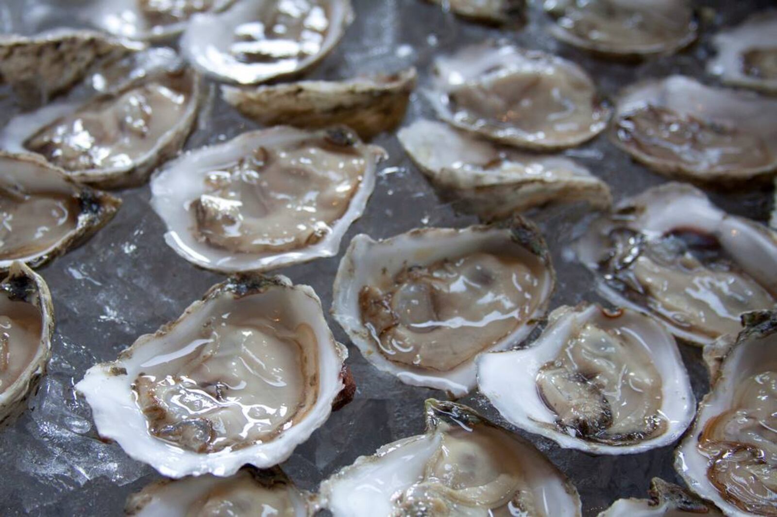 Lily’s Bistro will host its first Oyster Fest event from Tuesday, January 9 through Saturday, January 13. Provided photo