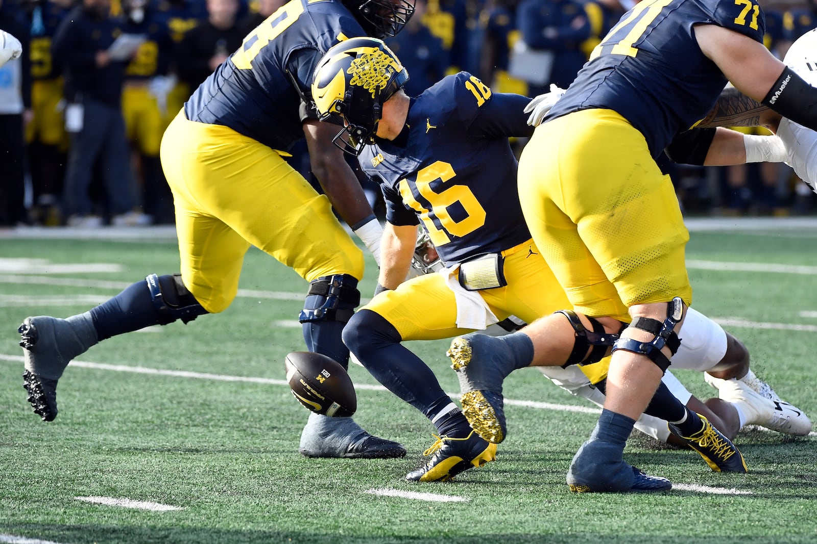 Michigan quarterback Davis Warren (16) falls to recover a fumbled ball against Oregon in the first half of an NCAA college football game, Saturday, Nov. 2, 2024, in Ann Arbor, Mich. (AP Photo/Jose Juarez)