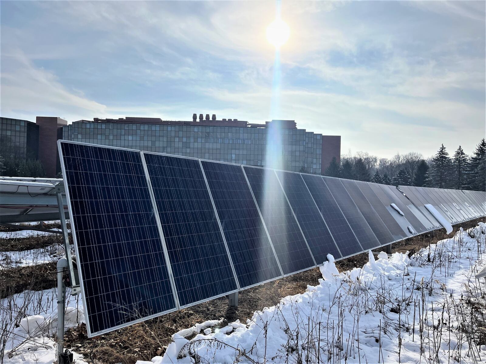 The solar prairie at Daniel J. Curran Place at 1700 S. Patterson Blvd. in Dayton. Curran Place and an array on Fitz Hall produce about 2% of the University of Dayton's power. CORNELIUS FROLIK / STAFF