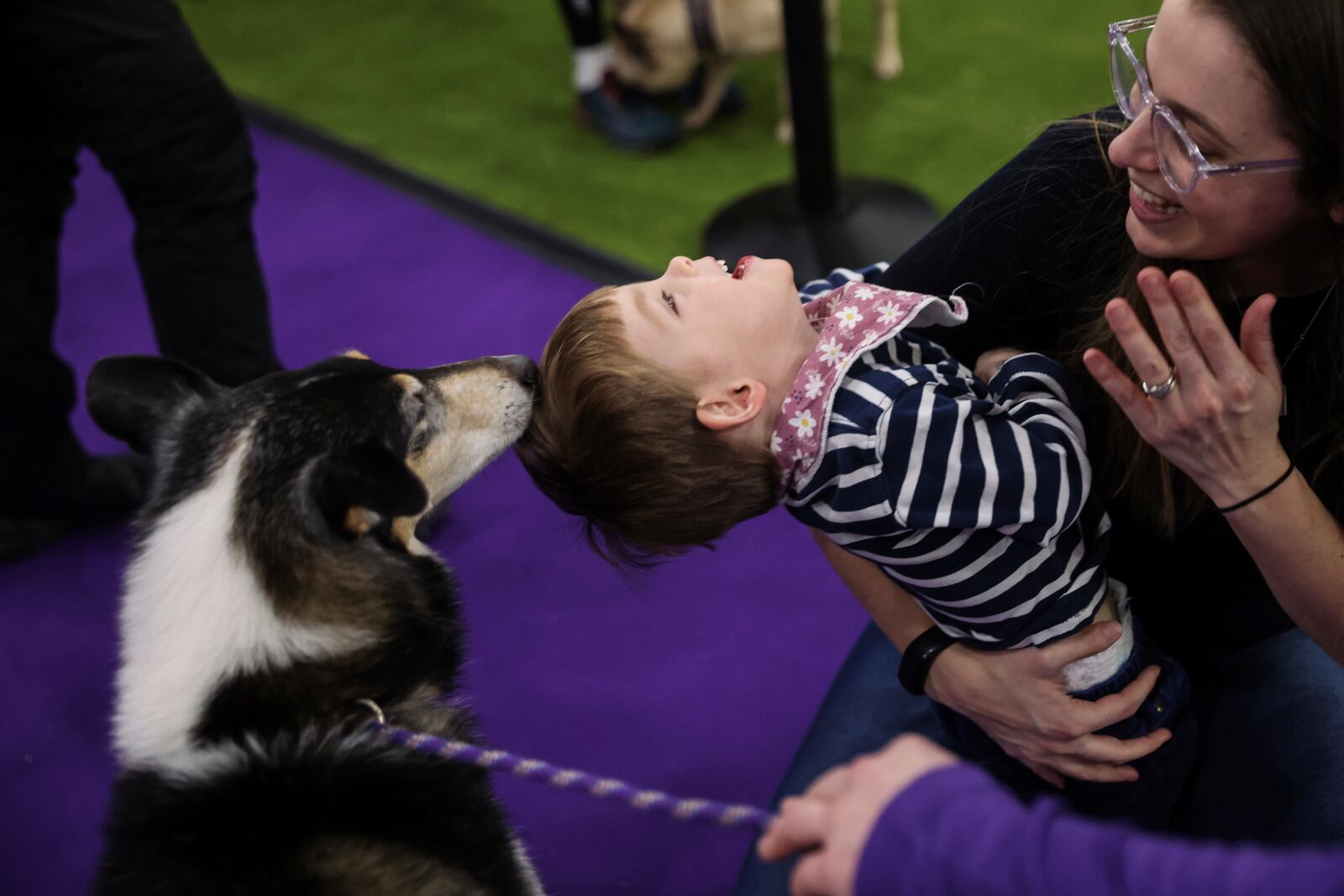 Nico Hutkin, center, reacts after feeding a dog during the 149th Westminster Kennel Club Dog show, Saturday, Feb. 8, 2025, in New York. (AP Photo/Heather Khalifa)