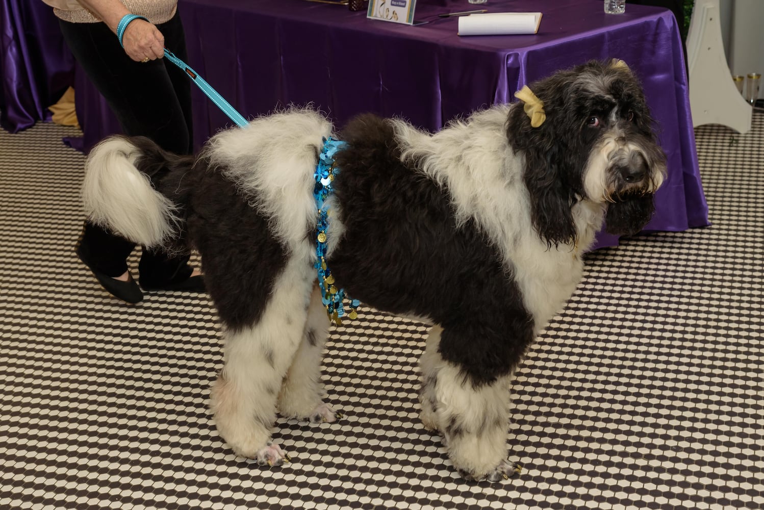 PHOTOS: 2024 Pet Afflaire Gala at the Dayton Arcade