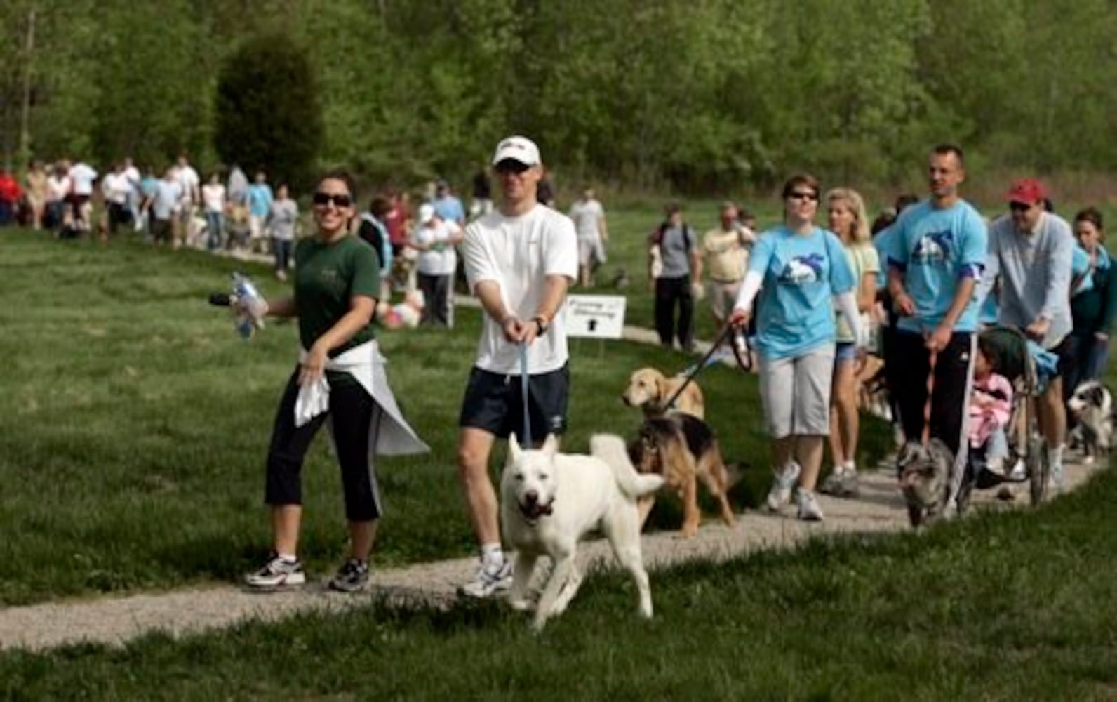 Furry Scurry walk