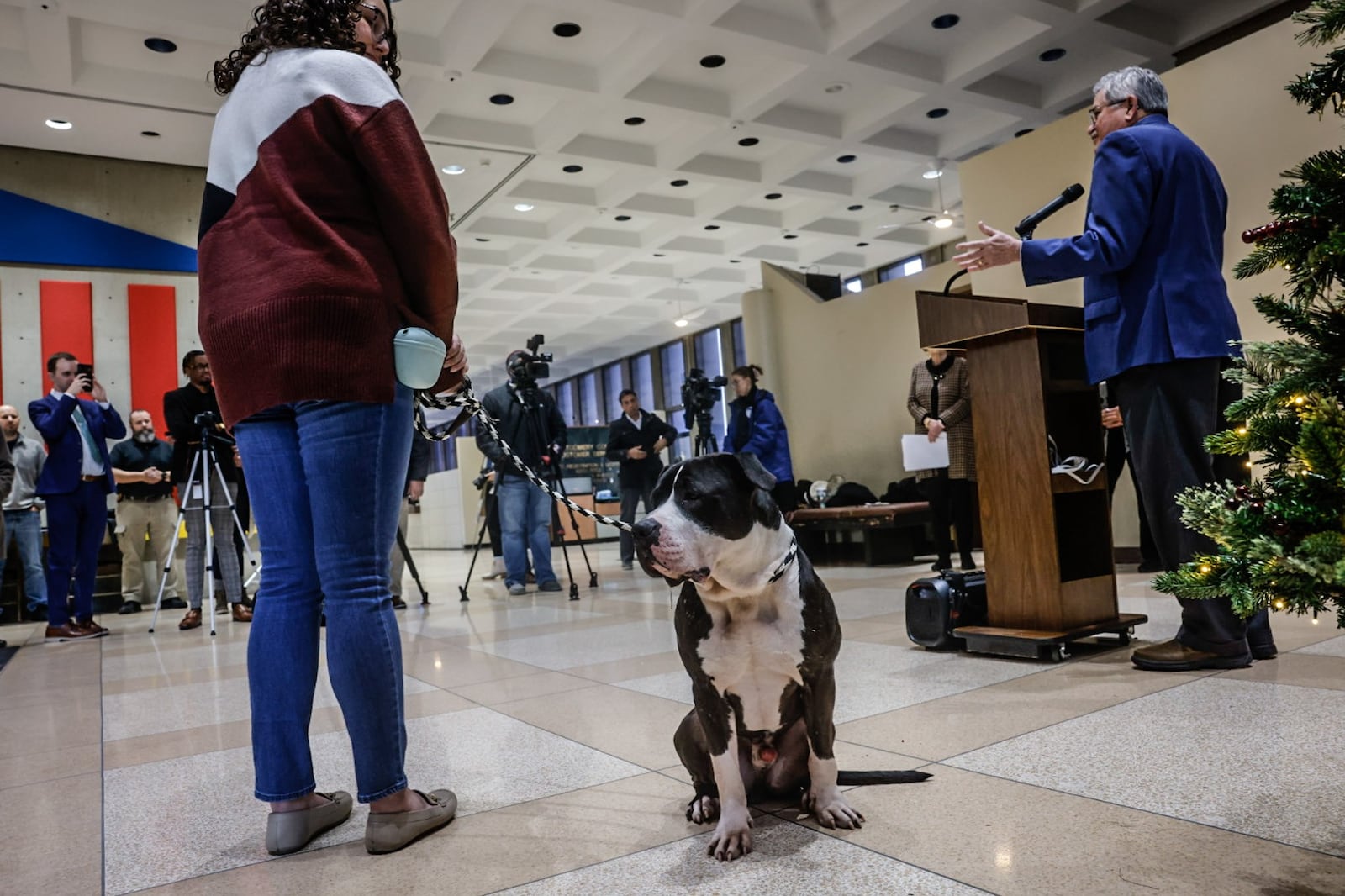 Enzo an adoptable dog from the Montgomery County Animal Resource Center along with Montgomery County Auditor Karl Keith launched the sale of dog license Monday December 2, 2024 at the administration building. The dog license few goes to animal welfare in Montgomery County. JIM NOELKER/STAFF