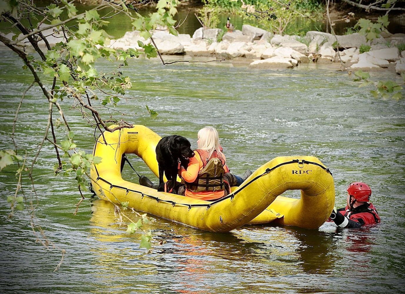 Search continues for missing boy