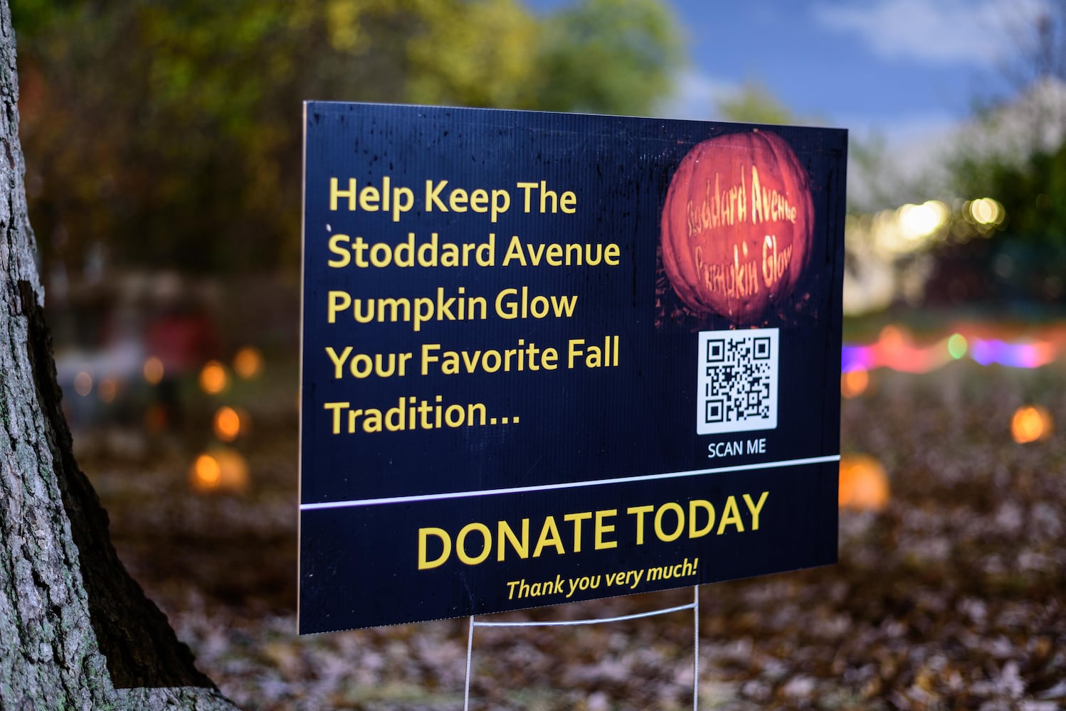 PHOTOS: The Stoddard Avenue Pumpkin Glow Night 1