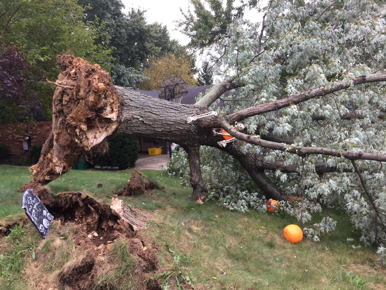 PHOTOS: Strong winds cause damage around the Miami Valley