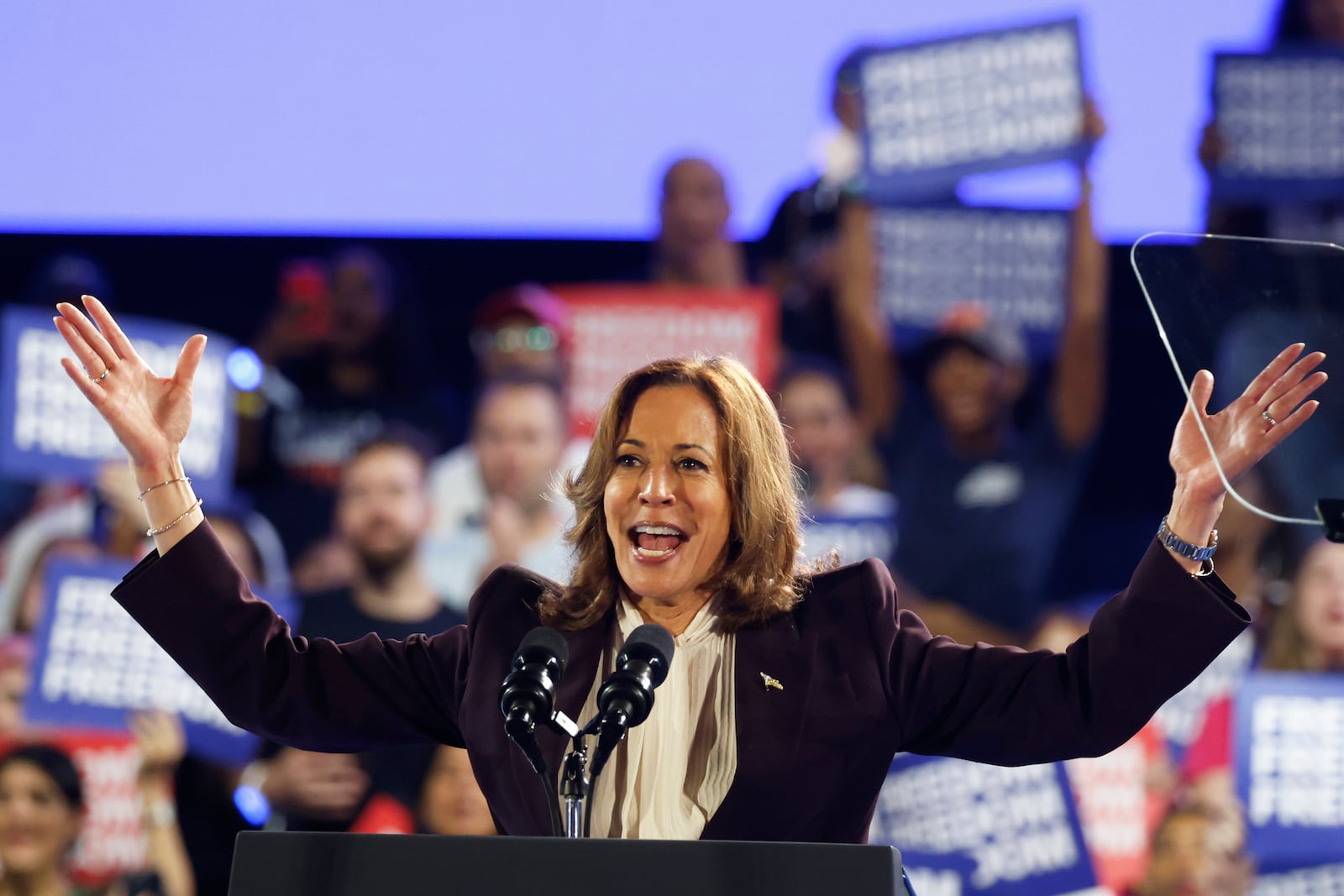 Democratic presidential nominee Vice President Kamala Harris speaks at a campaign rally Friday, Oct. 25, 2024, in Houston. (AP Photo/Annie Mulligan)