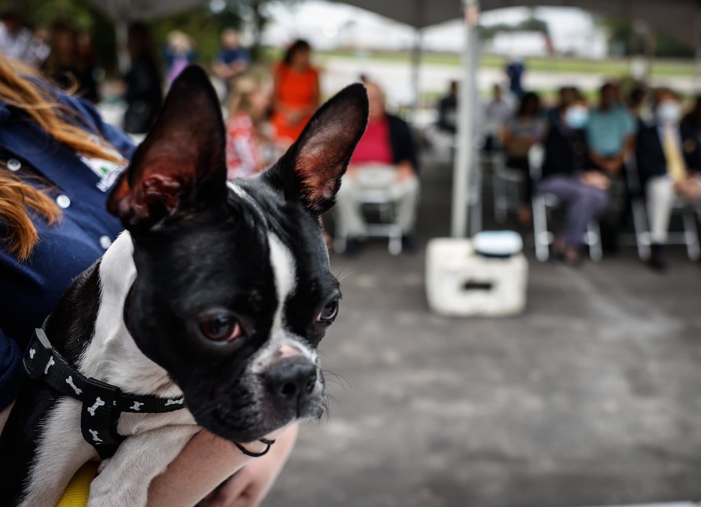 Humane Society of Greater Dayton opens $6M expansion