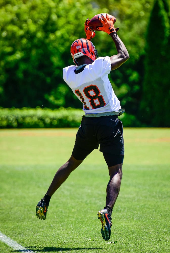 Cincinnati Bengals Practice