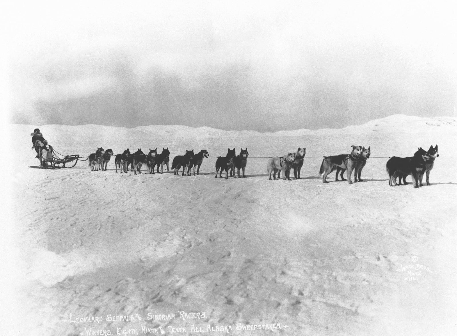 FILE - Leonhard Seppala and his sled dog team are pictured on Oct. 12, 1928, in Alaska. In 1925, Seppala was part of the nearly 700-mile relay of mushers and dog teams to get diphtheria antitoxin to Nome, Alaska, during a deadly outbreak of the disease. (AP Photo, File)