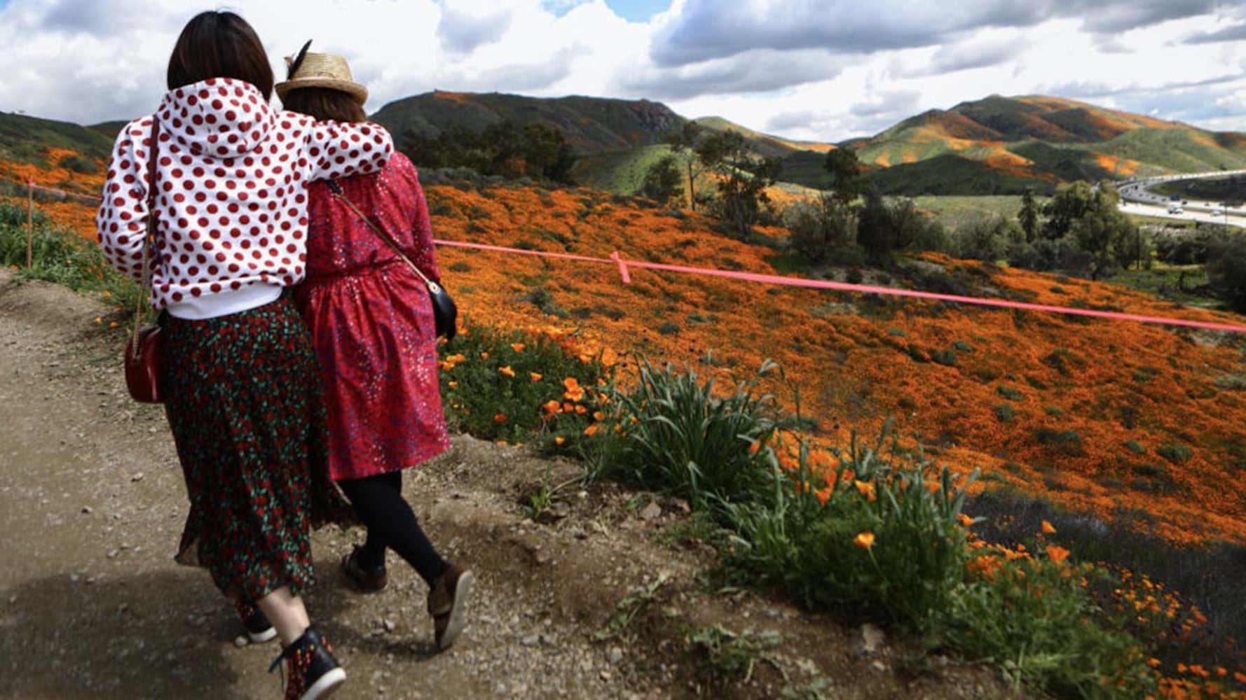 Photos: Spectacular wildflower super bloom in California