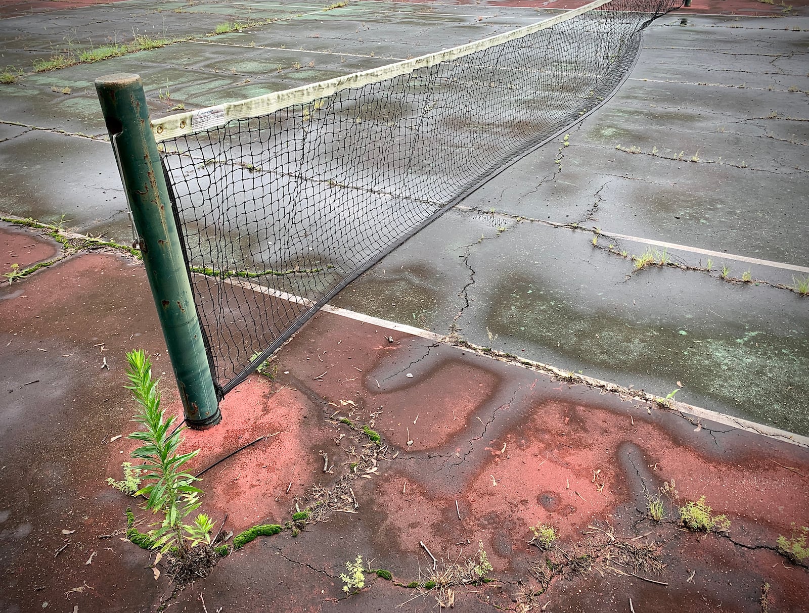 People Living in the area of Residence Park complained that the courts have cracks and weeds and the park is in rough shape. MARSHALL GORBY\STAFF