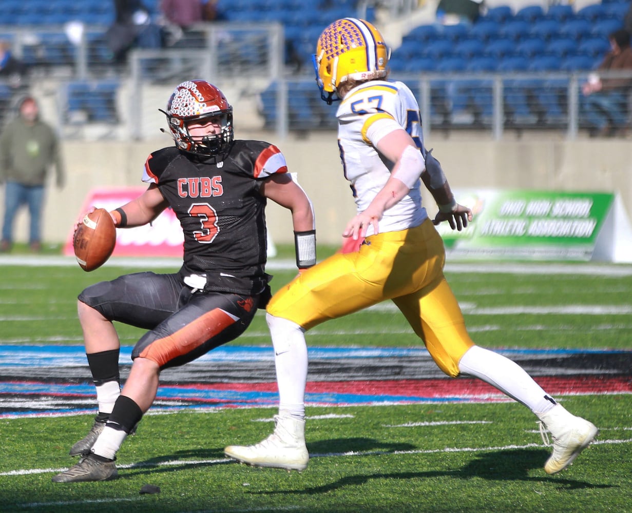 PHOTOS: Marion Local wins state football championship