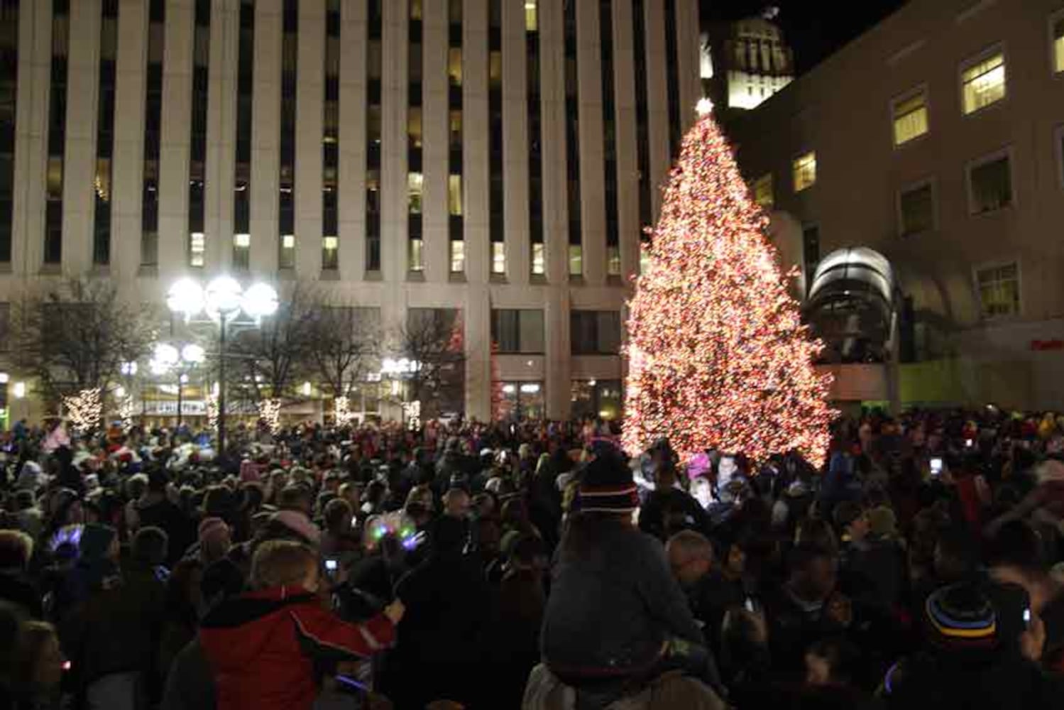 Tree lighting draws enthusiastic crowd