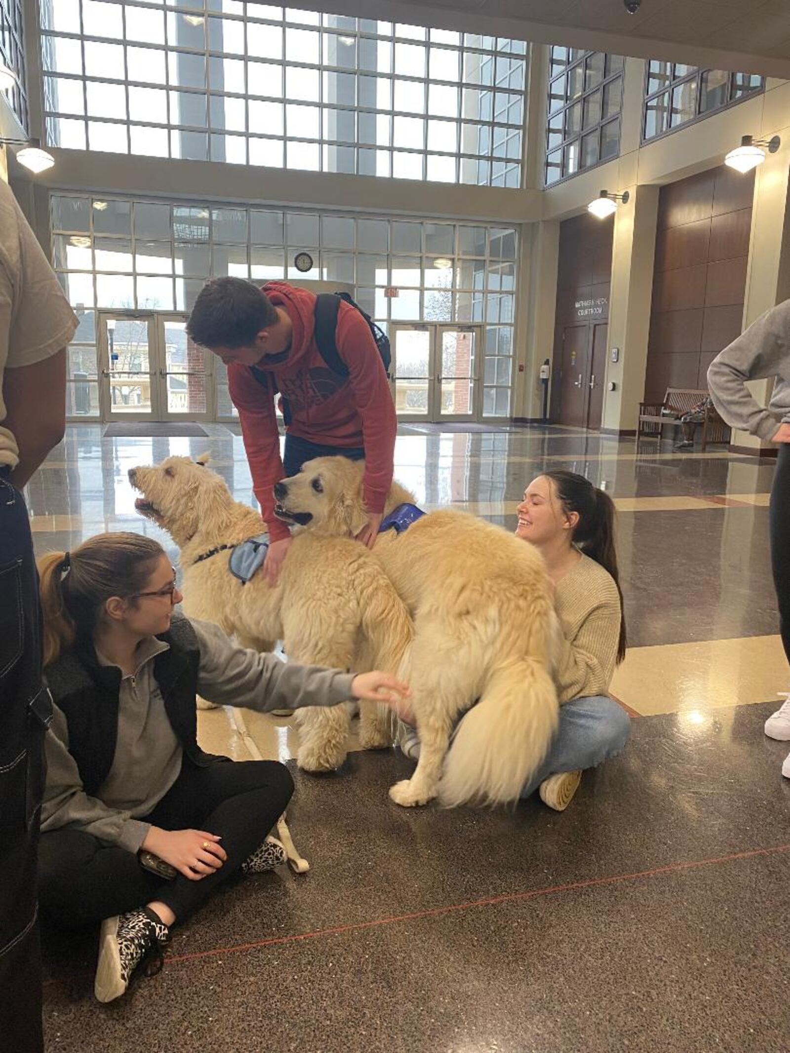 Pam Killingsworth’s dogs Tucker and Poppy are pictured visiting  University of Dayton law students during a stressful exam week. CONTRIBUTED