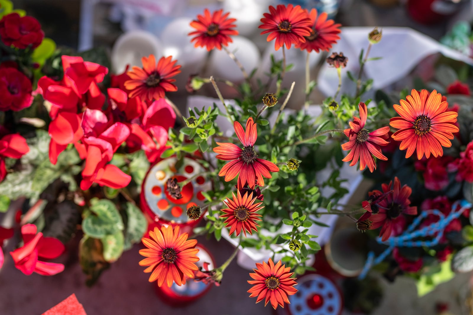 Flowers left for Pope Francis at the Agostino Gemelli Polyclinic, in Rome, Monday, March 3, 2025 where he is hospitalized since Friday, Feb. 14. (AP Photo/Mosa'ab Elshamy)