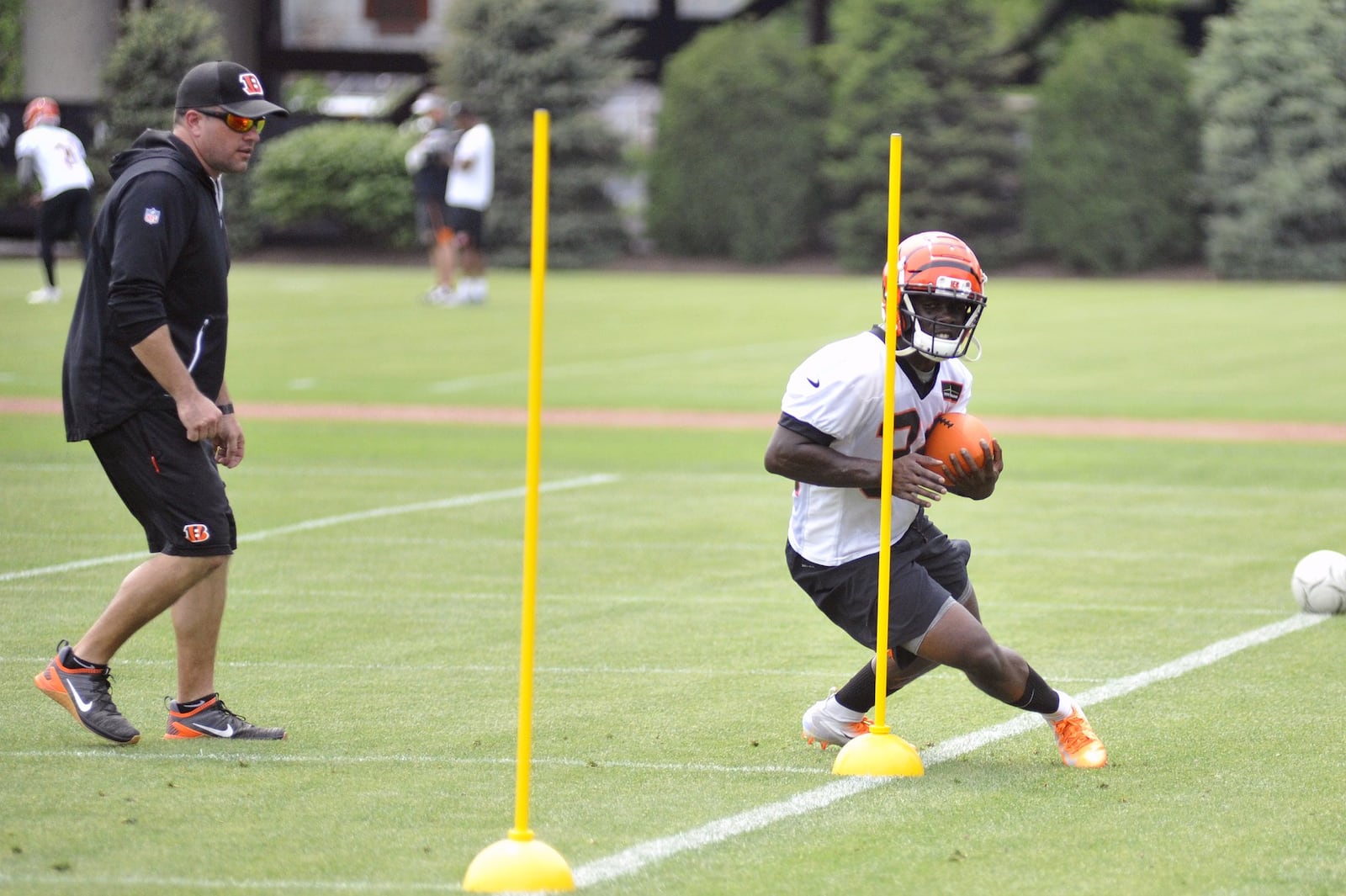 Cincinnati Bengals running back Quinton Flowers runs through a drill during rookie camp as position coach Kyle Caskey looks on.