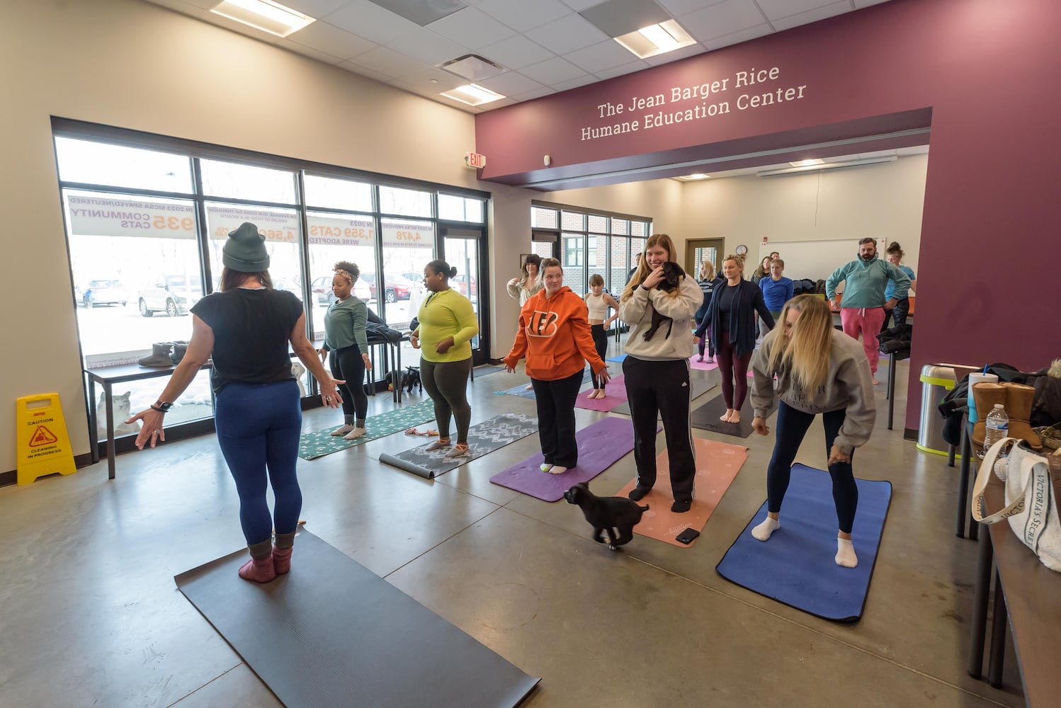 PHOTOS: Puppy Yoga at SICSA Pet Adoption and Wellness Center