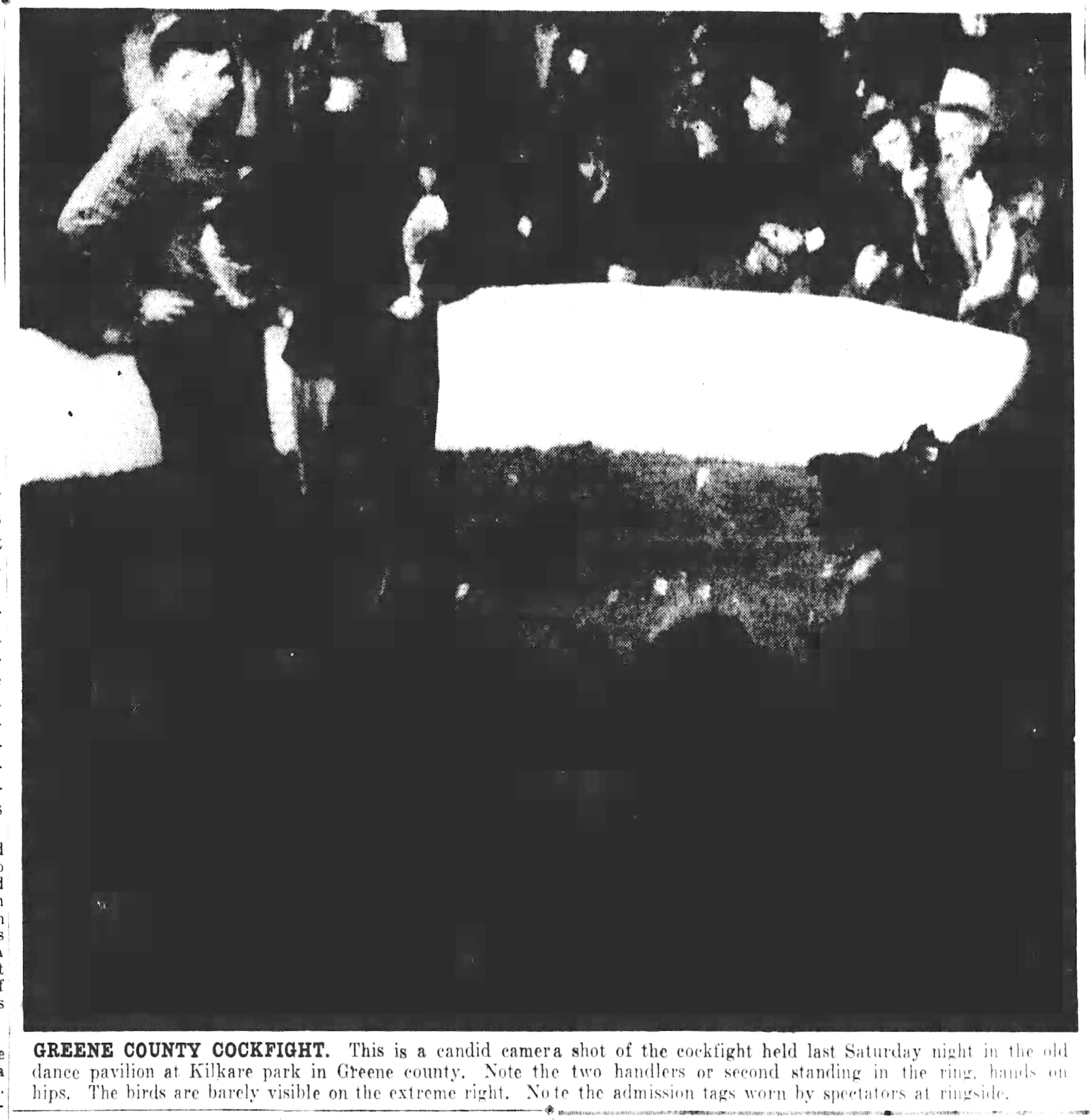 March 10, 1947: Cockfights near Xenia exposed; betting part of brutal contest. DAYTON DAILY NEWS ARCHIVES