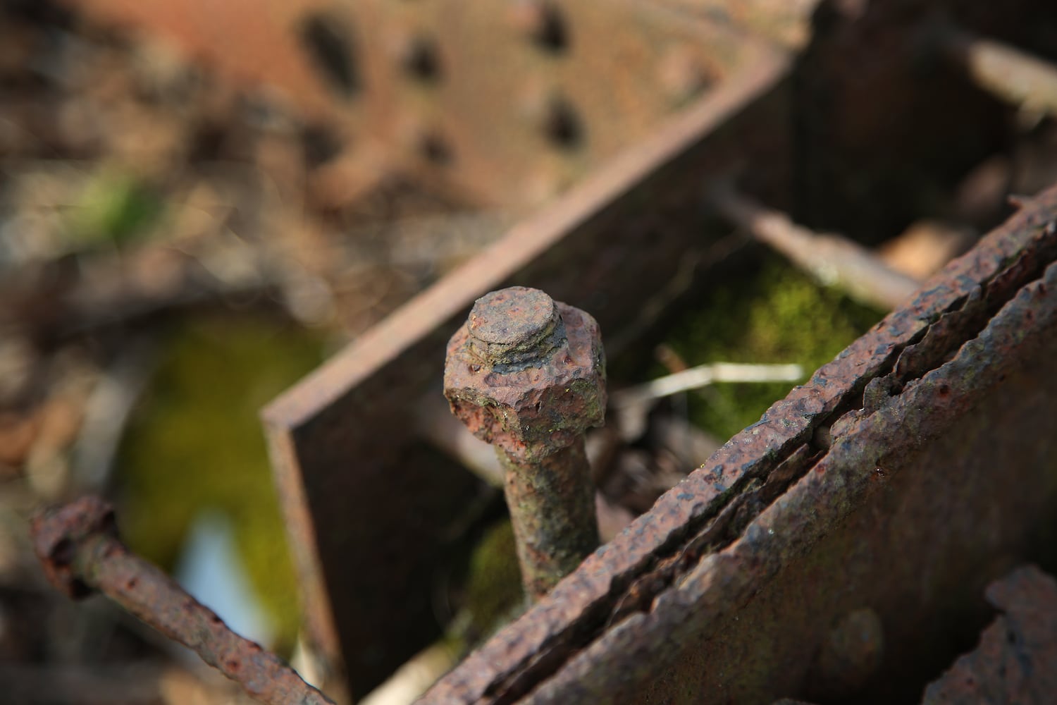 PHOTOS: Long-abandoned amusement park lives on in Possum Creek MetroPark