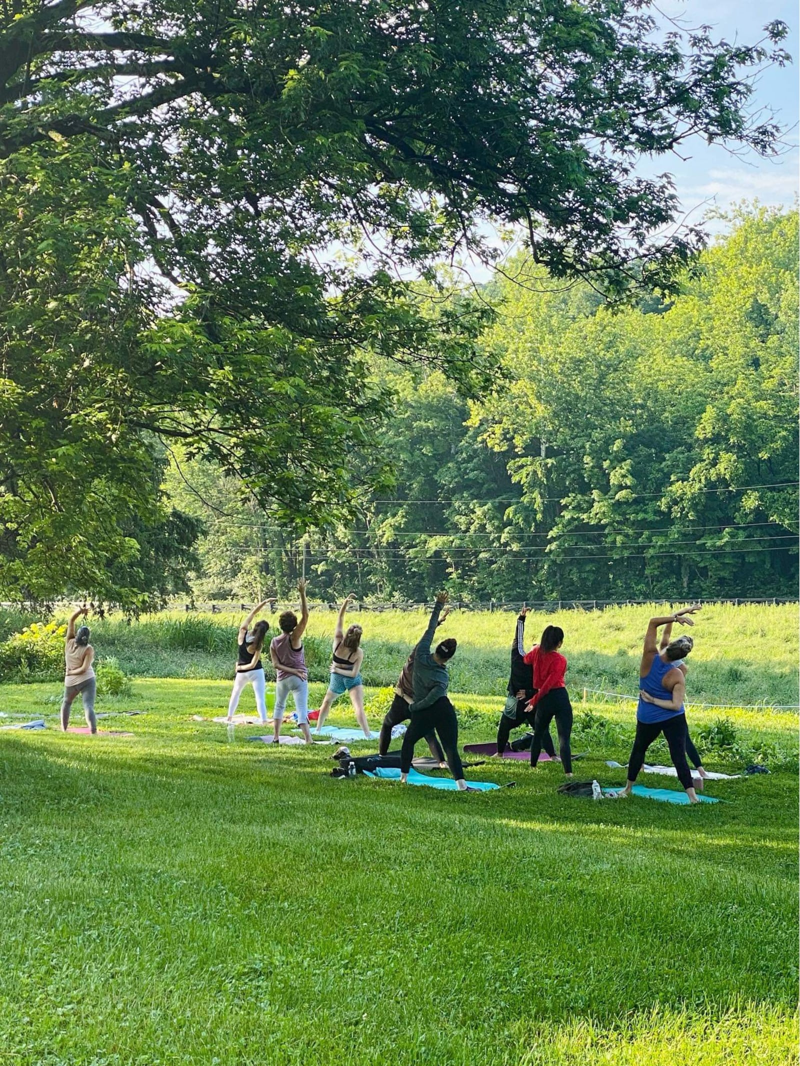 Morning Yoga at Cedar Ridge Trails ends with a walk through the lavender field to pick your own bundle to take home - CONTRIBUTED