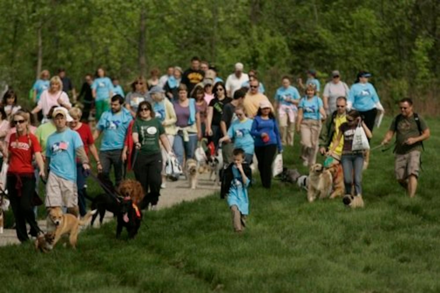 Furry Scurry walk