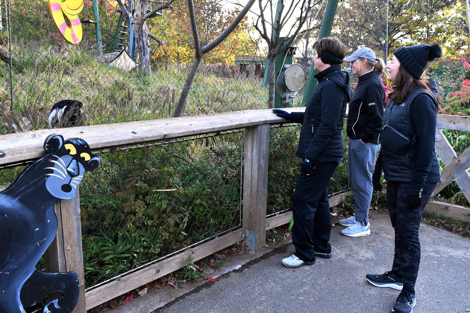 From left, Lou Ann Parrino, Lisa Weisert, and Janie Reinert, members of the Get Healthy Walking Club pause during their morning walk to say good morning to one of the animals at the Louisville Zoo in Louisville, Ky., Friday, Oct. 18, 2024. (AP Photo/Timothy D. Easley)