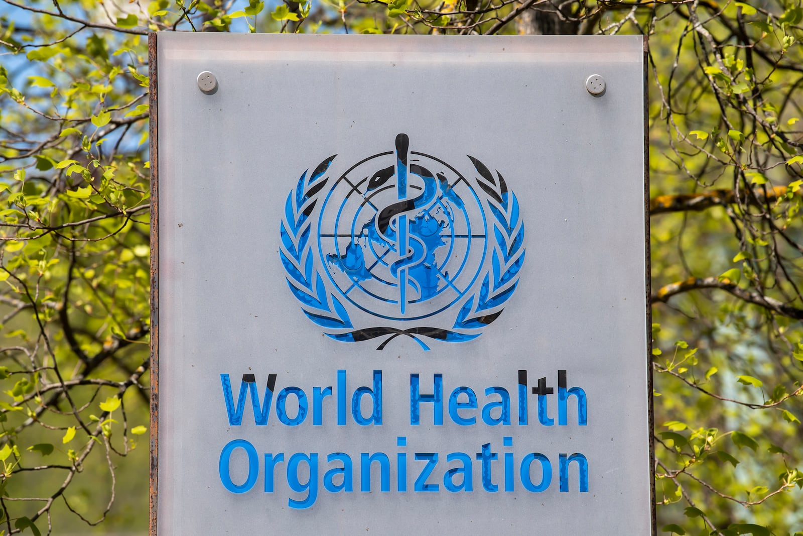 FILE - The World Health Organization signage is seen outside its headquarters in Geneva, Switzerland, April 15, 2020. (Martial Trezzini/Keystone via AP, File)