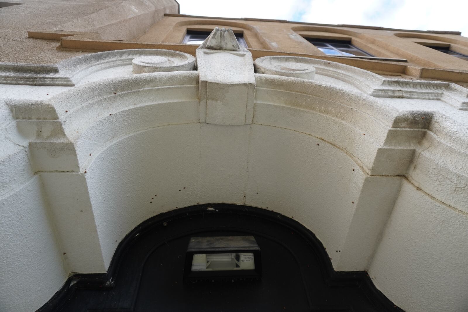 The dark spots are multi-colored Asian ladybeetles congregating on the warm south side of a building, searching for an overwintering site. CONTRIBUTED