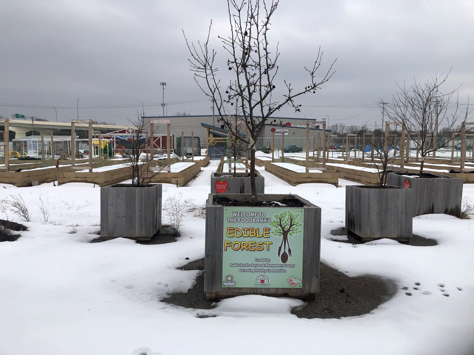 The Dayton Foodbank Inc.'s edible forest, adjacent to its warehouse. CORNELIUS FROLIK / STAFF