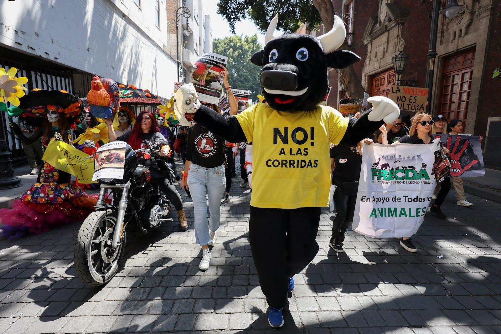 A protester wearing a bull costume and shirt that reads in Spanish "No to bullfighting!" gathers outside Mexico's City's Congress where lawmakers are expected to debate its continuation in Mexico City, Tuesday, March 18, 2025. (AP Photo/Ginnette Riquelme)