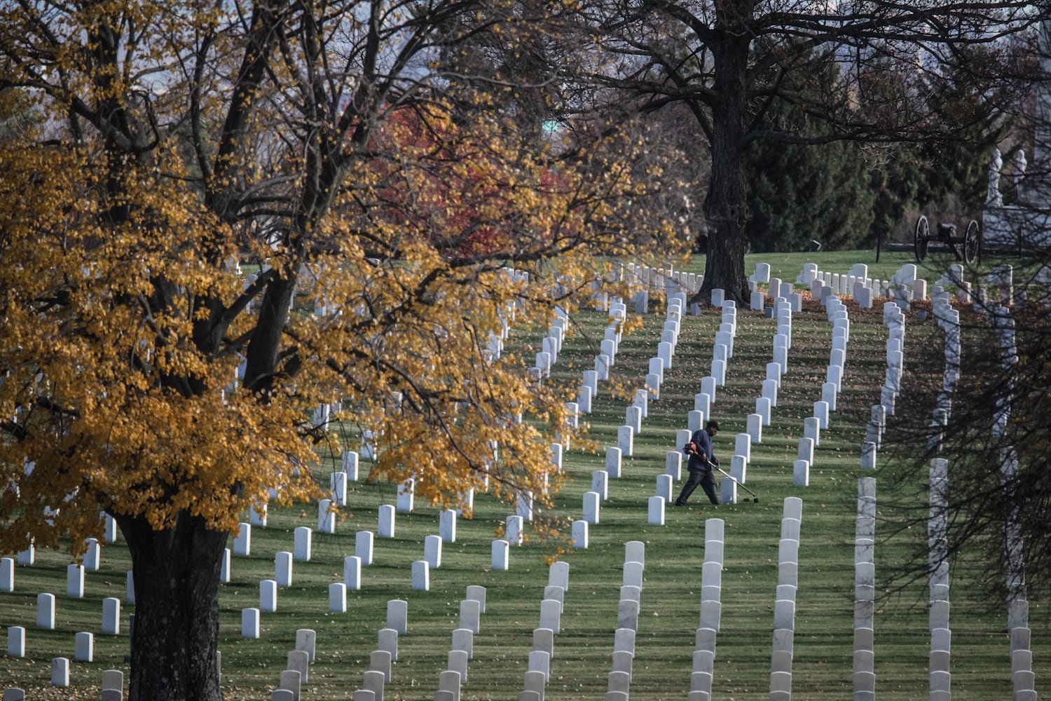 A global pandemic has cast a shadow over Veterans Day