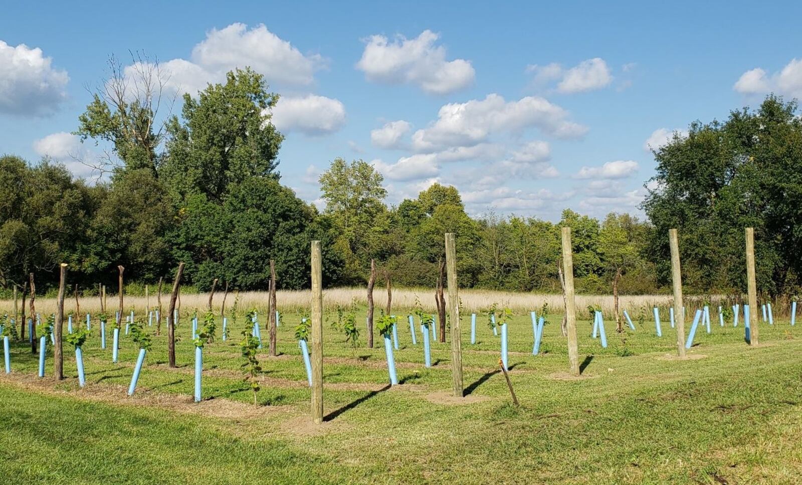 Twenty One Barrels Cidery & Winery could open as early as summer 2020 near Bradford in Darke County.