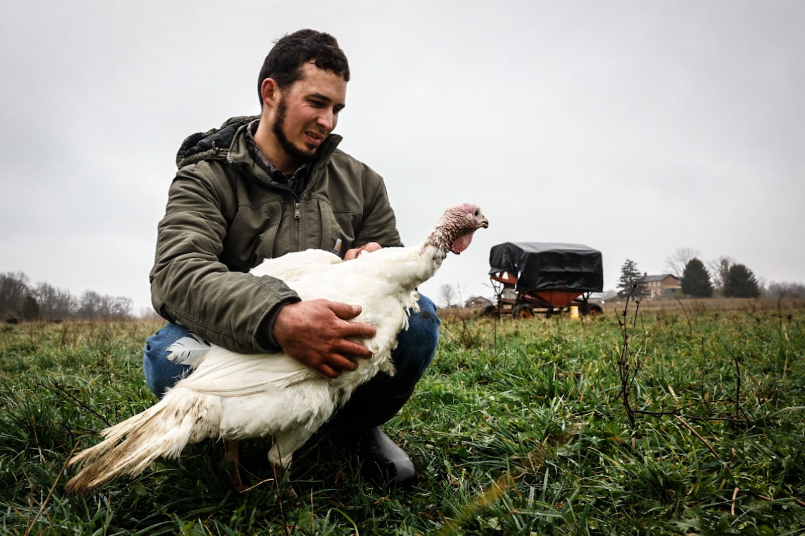 Regenerative farmer John Filbrun holds one of hundreds of turkeys he raises on his Preble County farm. Filbrun and his wife operate Makers Meadow Farm where they raise turkey and other grass feed animals. JIM NOELKER/STAFF