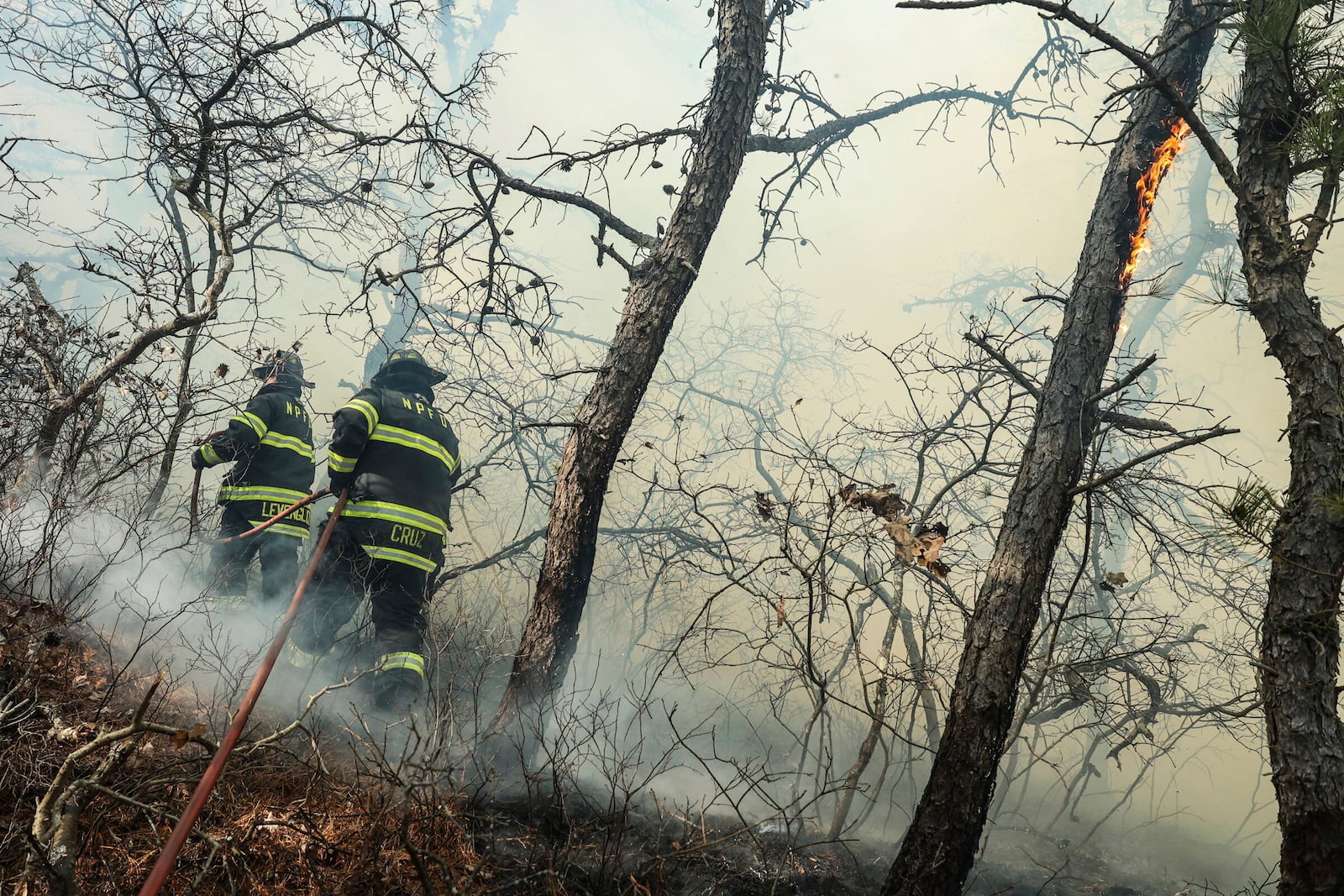 Firefighters respond to a brush fire in Suffolk County in New York's Long Island on Saturday, March 8, 2025. (Steve Pfost/Newsday via AP)