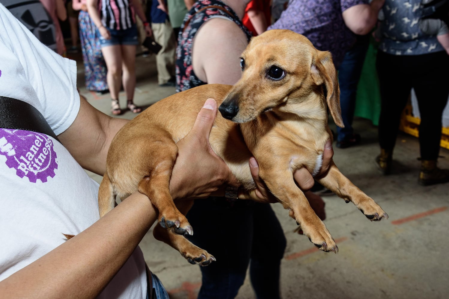 PHOTOS: Did we spot you at the return of A World A'Fair at the Greene County Expo Center?