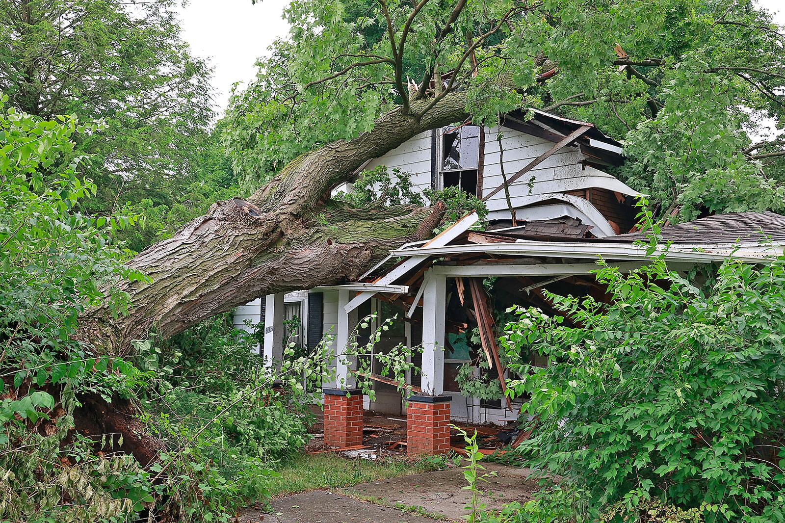 A vacant house on Lincoln Street in Christiansburg shown Monday, June 12, 2023, was nearly cut in two by a large tree. The tree was toppled by the storm that blew through the area Sunday evening. BILL LACKEY/STAFF