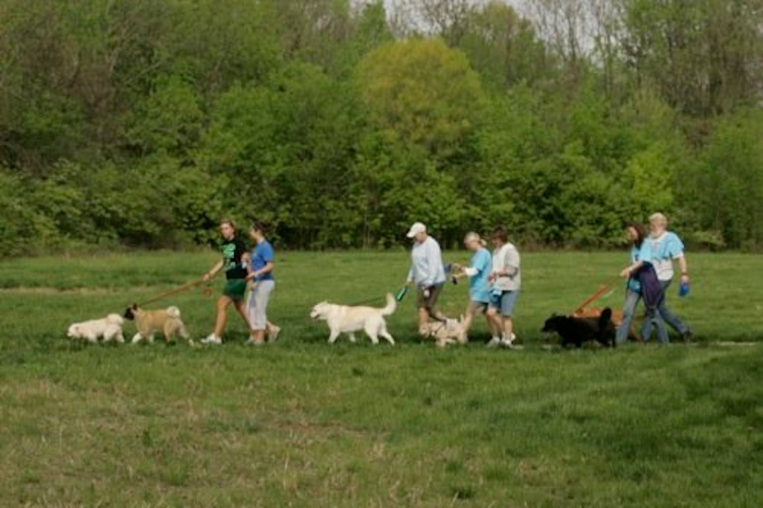 Furry Scurry walk