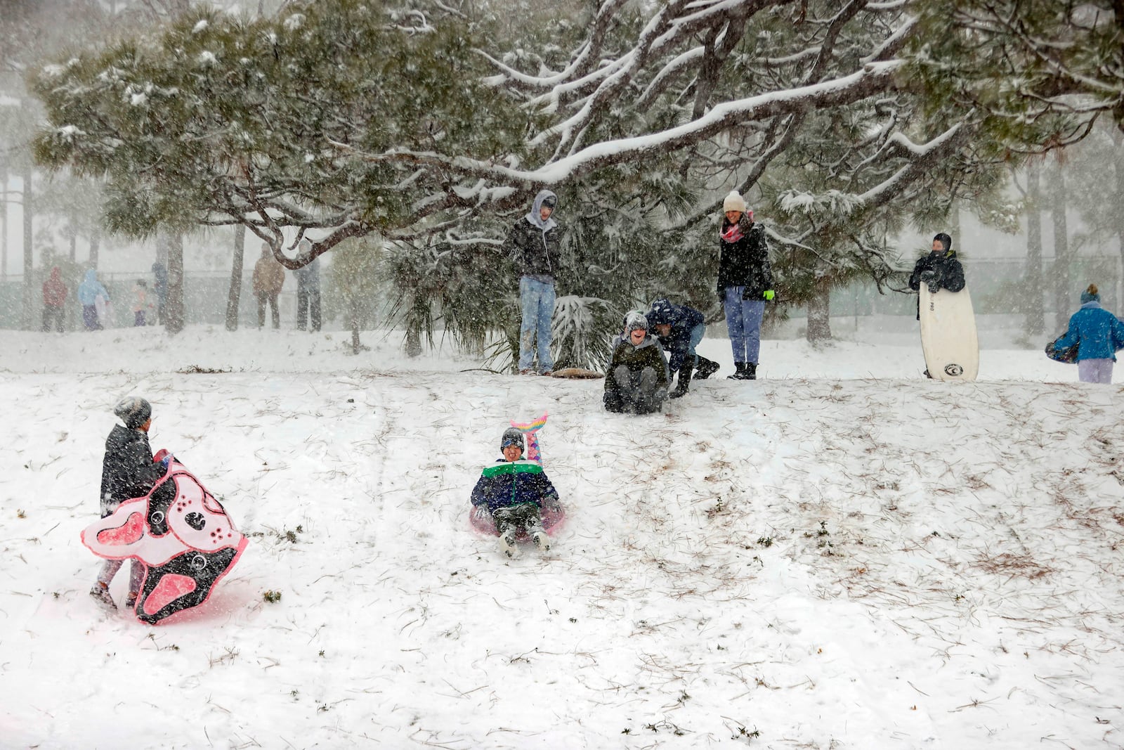 Families gathered at Bayview Park to enjoy the six plus inches of snow that has accumulated on Tuesday, Jan. 21, 2025, in Pensacola, Fla. (Luis Santana/Tampa Bay Times via AP)