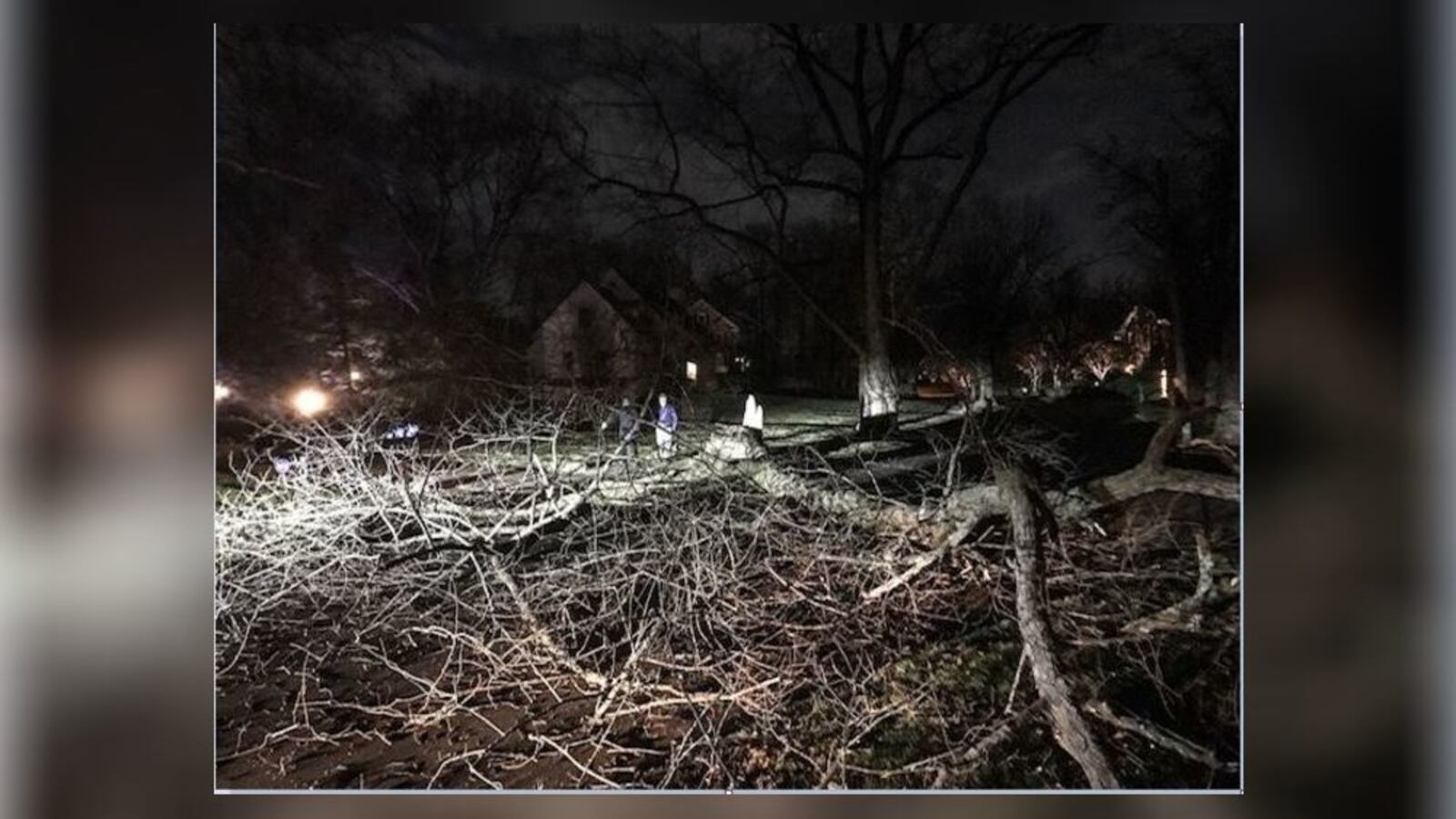 This tree fell in the 300 block of Rubicon Road in Oakwood on Thursday night, Jan. 9, 2020, and blocked the road. (Jim Noelker/Staff)