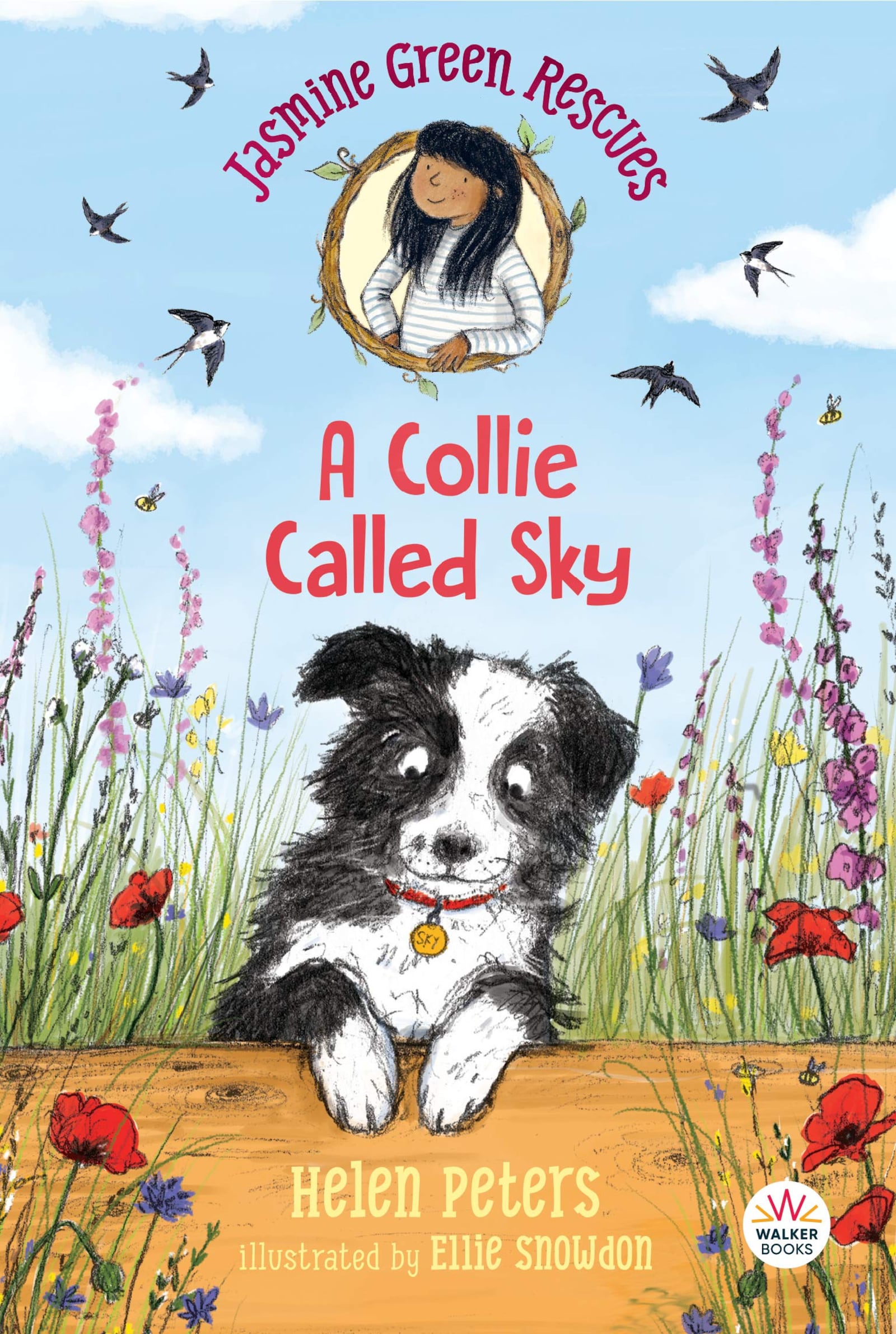 “Jasmine Green Rescues A Collie Named Sky” by Helen Peters (Walker, 150 pages, $14.99, ages 7-9)